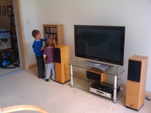 Boys helping with the CDs and DVDs