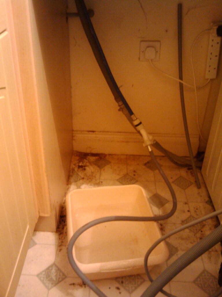 The leaky pipe is located