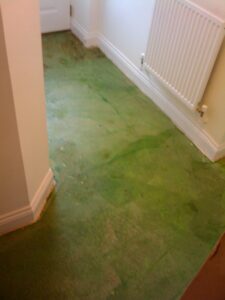 Primer painted on to the existing concrete floor