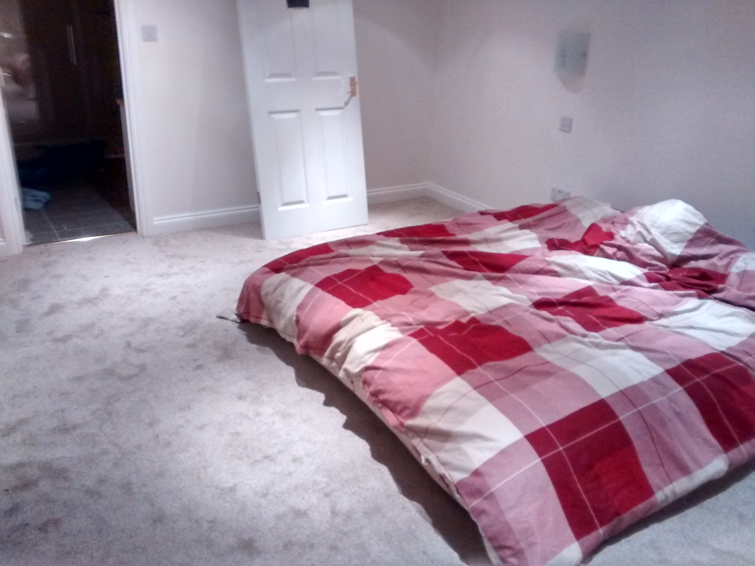 bedroom carpet and mattress